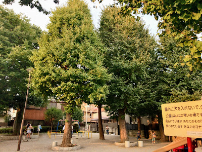 와카미야 공원 사진 3
