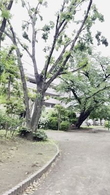 토쿠덴 공원 사진 2