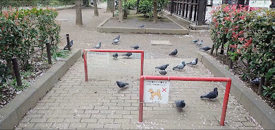 분쿄미야모토 공원 사진 2