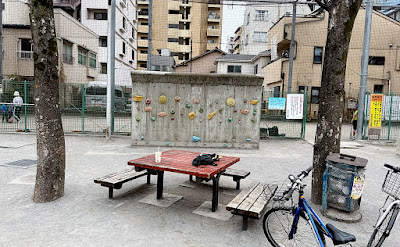 카나스기 공원 사진 4
