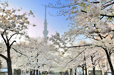 산야보리 공원 사진 3