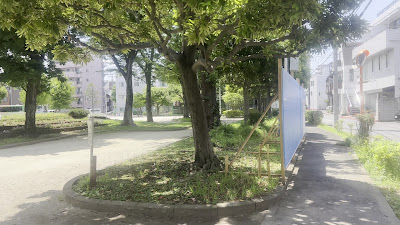 히가시무코지마키타 공원 사진 2