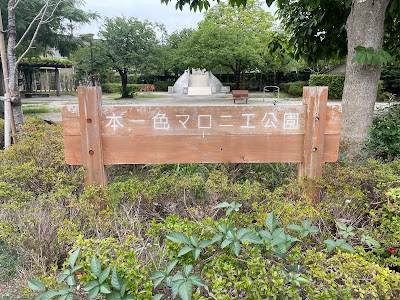혼잇시키마로니에 공원 사진 4