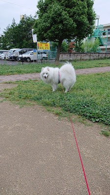 Maekochi Park 사진 4