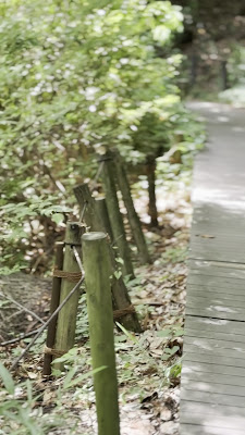 Wild Bird Invitation Forest, Shakujii Park 사진 2