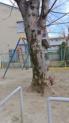 아스나로 아동공원 사진 2