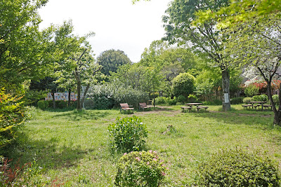 하치나리 공원 사진 5