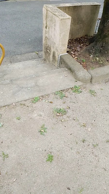 카미사기니시 공원 사진 3