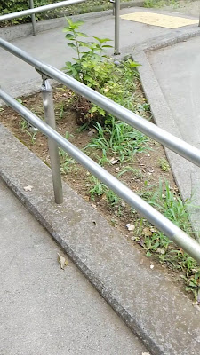 카미사기니시 공원 사진 2