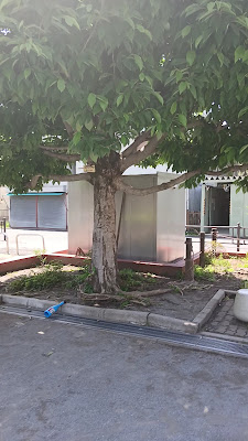 유타카 공원 사진 2