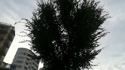 히가시이케부쿠로아오조라 공원 사진 2