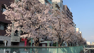에도바시 공원 사진 2