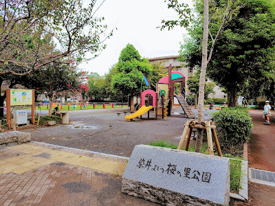 소메이요시노사쿠라노사토 공원 사진 4