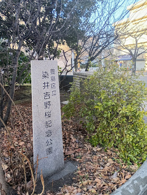 소메이요시노 벚꽃기념공원 사진 4