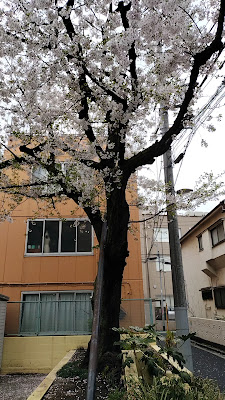 공원 사진 2