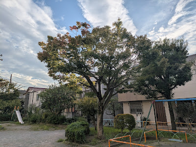 츠바키 공원 사진 5