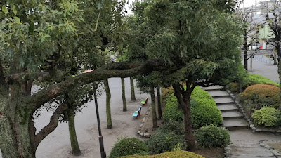 요쓰기공원 사진 2