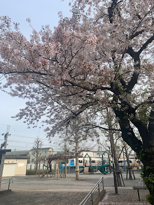 히가시요츠기 공원 사진 4