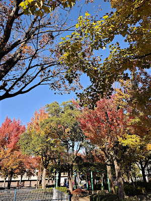 산와 공원 사진 5