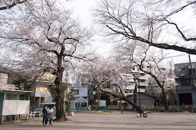 토모네2쵸메 공원 사진 4
