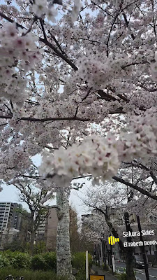 미나미야바타 공원 사진 2