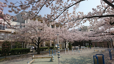 센쥬 스포츠 공원 사진 4