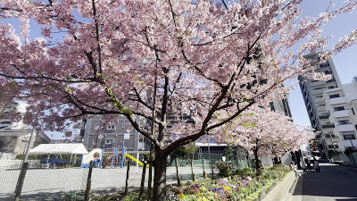 시라토리미나미공원 사진 2