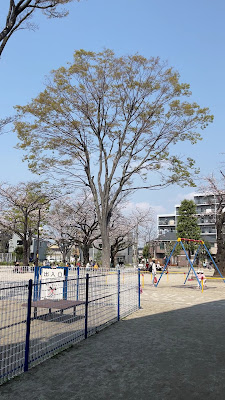 카마쿠라 공원 사진 2