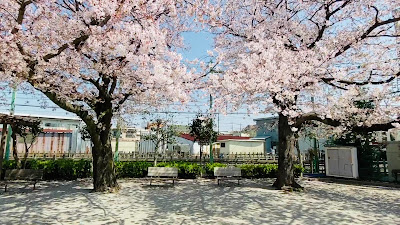 만다라 공원 사진 2