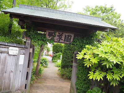 Kamakura Wild Grass Garden 사진 4