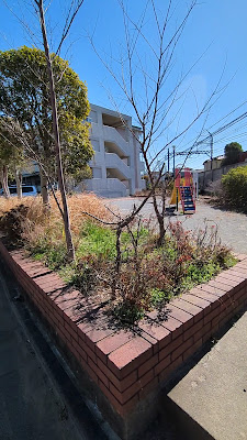 Park 사진 2