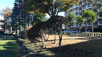 아오토 헤이와 공원 사진 2