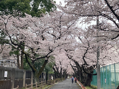 Kounodai Park 사진 3