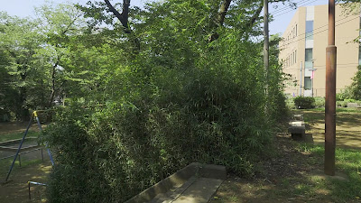 里見公園分園 사진 2