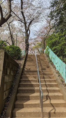里見公園分園 사진 5