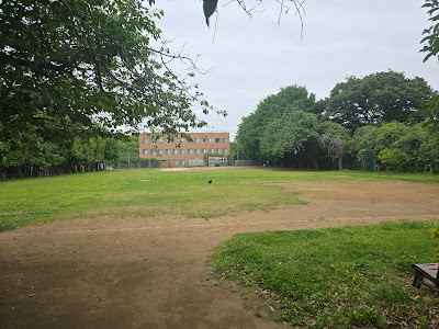 里見公園分園Ｂ 사진 3