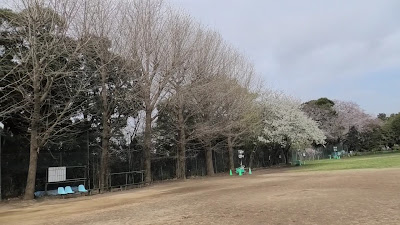 里見公園分園Ｂ 사진 2
