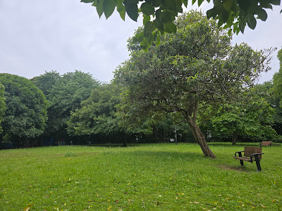 里見公園分園Ｂ 사진 5