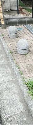 니시오이즈미미도리 녹지 공원 사진 2