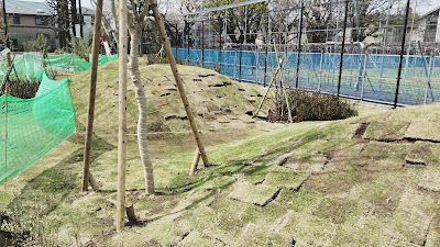 네리마구립 기타하라공원 사진 4