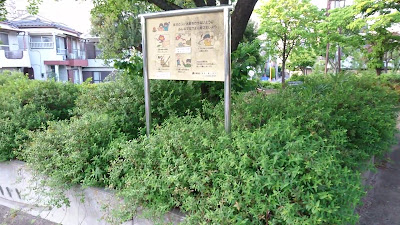 타카마츠츄오우 공원 사진 2
