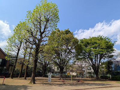 카스가 공원 사진 4