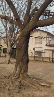 Hayamiya Heritage Park 사진 2
