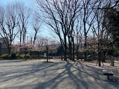 Nerima Kuritsu Hayamiya Park 사진 3