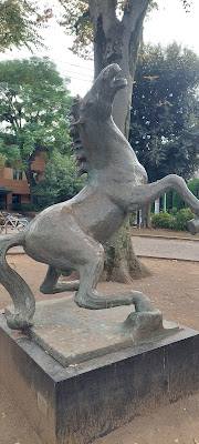 Nerima Kuritsu Hayamiya Park 사진 5