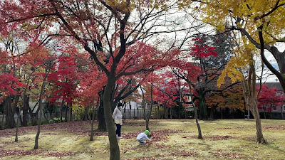 이타바시 구립 모로야마 공원 사진 2