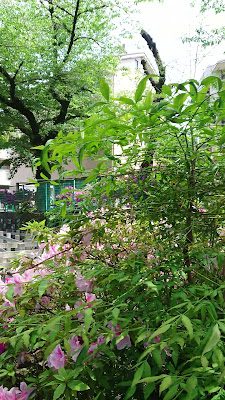 히카와 츠리보리 공원 사진 2