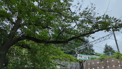 이타바시4초메공원 사진 2