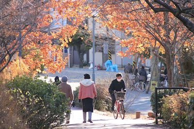 하쿠산보리 공원 사진 2