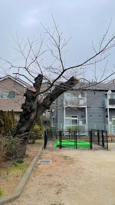 키타노 공원 사진 2